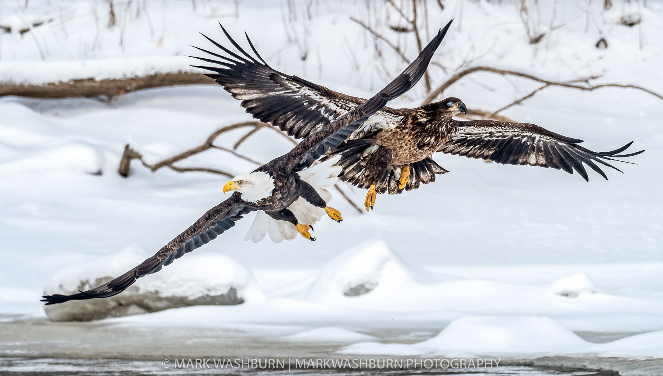Criss Cross Eagles