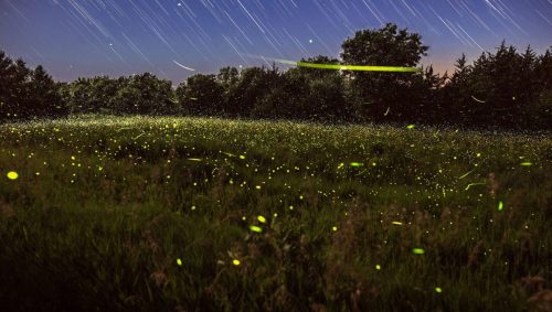 StarStaX_discovery-west-10-discovery-west_gap_filling