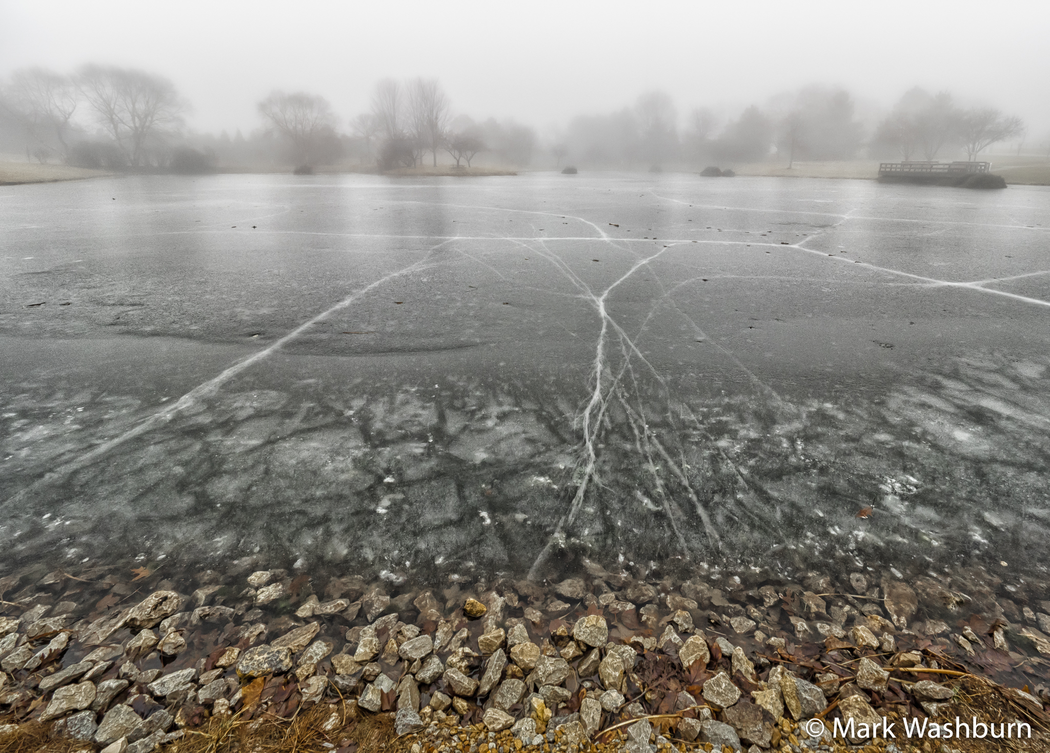 Ice And Fog At Discovery Park