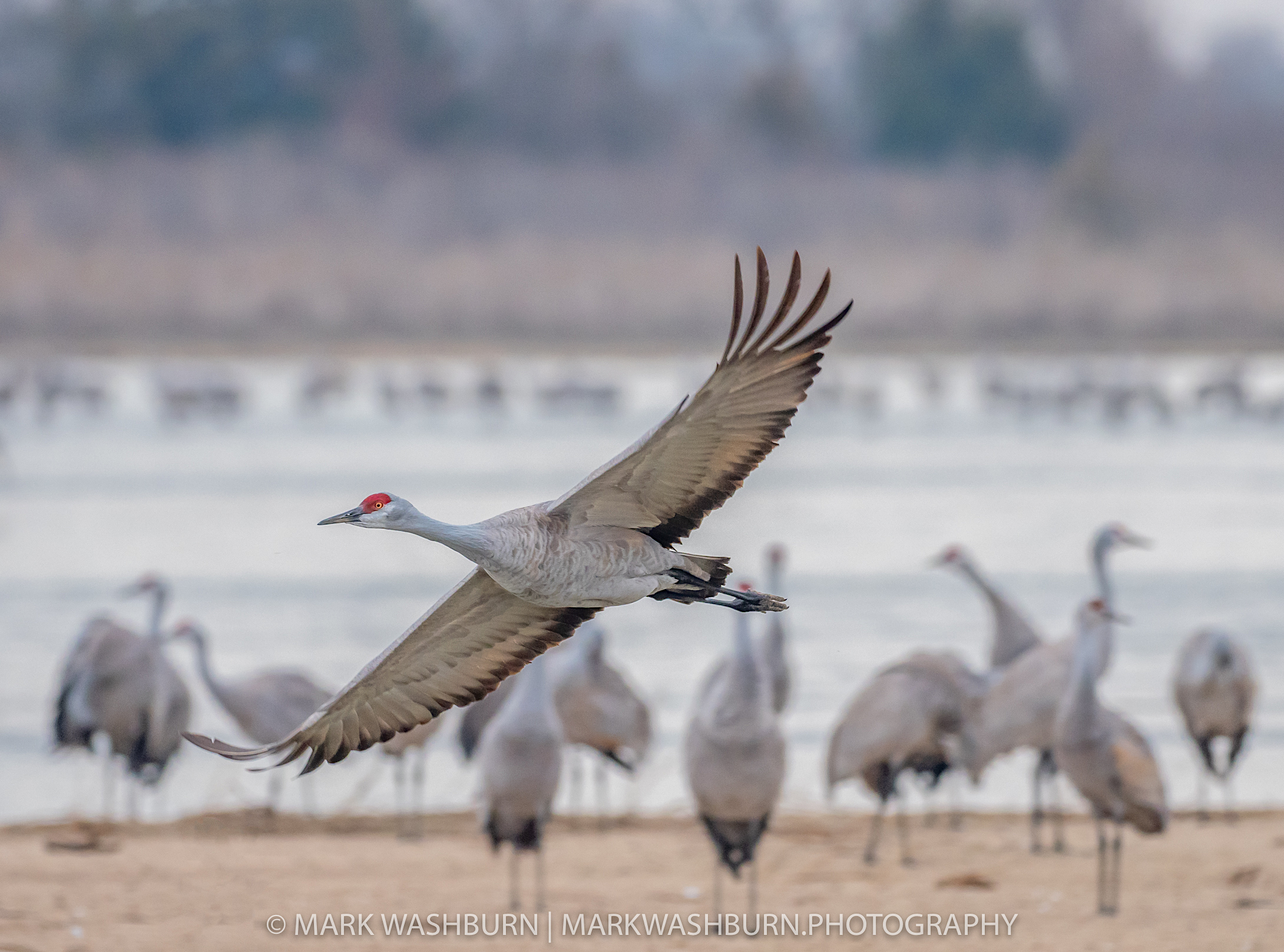 Fully Loaded – Platte River Dawn