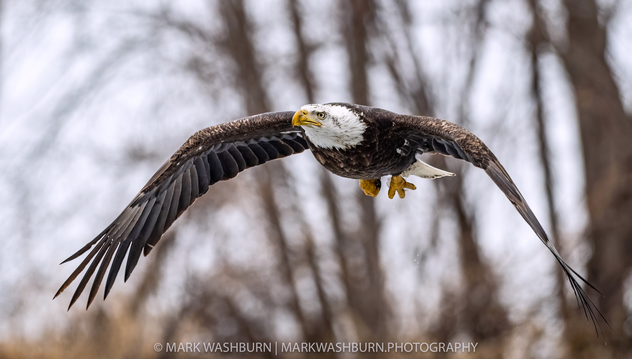 America’s Election Day