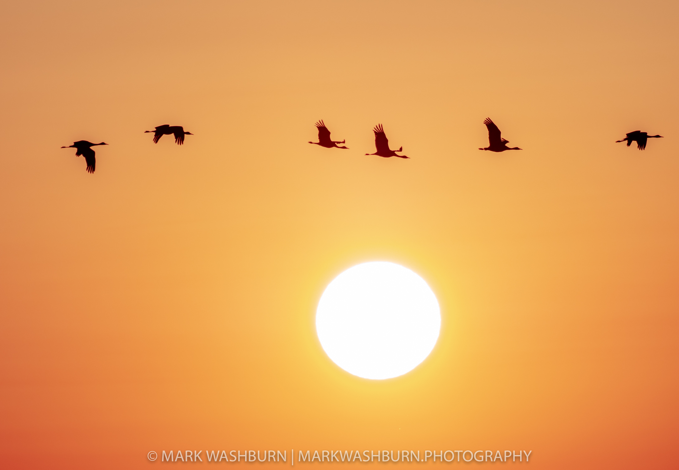 Nebraska – Honestly