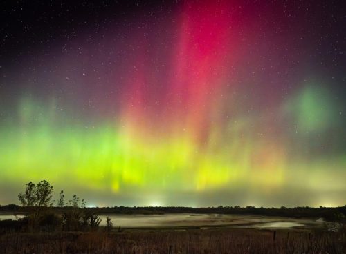 moon-fog-marsh-aurora-2